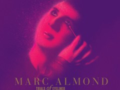 Marc Almond’s ‘Trials of Eyeliner’ Box set – contribution & charts